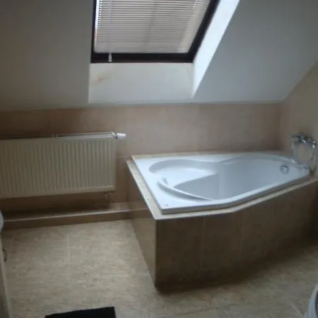 Xaver Guest house 3*