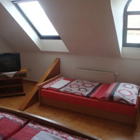 Xaver Casa de hóspedes Blučina